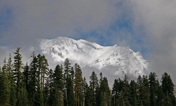 Strawberry Valley Inn image 13